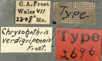 Media type: image;   Entomology 2696 Aspect: labels